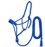 Braided Rope Halter with 10′ Lead