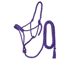 Braided Rope Halter with 10′ Lead