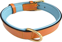 Padded Leather Dog Collars
