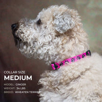 American Flag Dog Collars