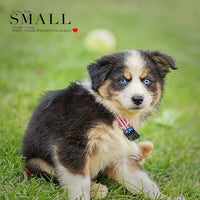 American Flag Dog Collars