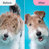 Dog Grooming Brush for Shedding - 2 in 1 Deshedding Tool