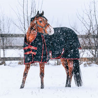 StormShield® Blizzard High Neck Turnouts