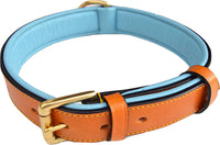 Padded Leather Dog Collars