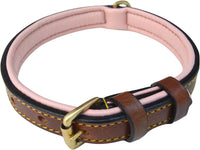 Padded Leather Dog Collars