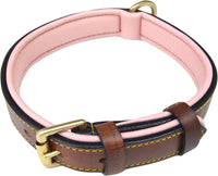 Padded Leather Dog Collars