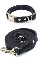 6Ft Leather Dog Leash and Collar Set for Dog