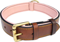 Padded Leather Dog Collars
