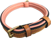 Padded Leather Dog Collars