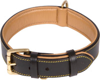 Padded Leather Dog Collars