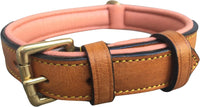 Padded Leather Dog Collars