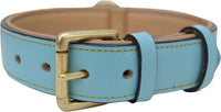 Padded Leather Dog Collars