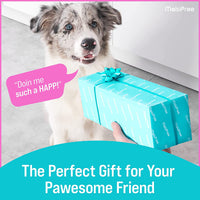 Leak Proof Portable Travel Dog Water Dispenser