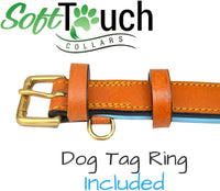 Padded Leather Dog Collars