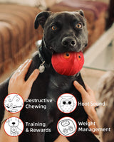 Giggle Ball for Dogs