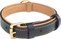 Padded Leather Dog Collars