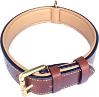 Padded Leather Dog Collars