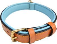 Padded Leather Dog Collars