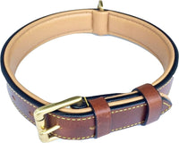 Padded Leather Dog Collars