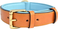 Padded Leather Dog Collars