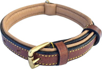 Padded Leather Dog Collars