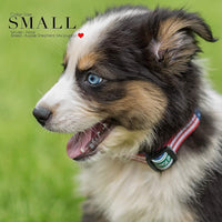 American Flag Dog Collars