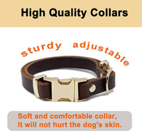 6Ft Leather Dog Leash and Collar Set for Dog