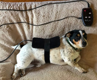 Canine IR1 Infrared Therapy System