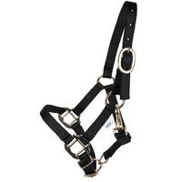 Dura-Tech® Miniature Double Ply Nylon Halter