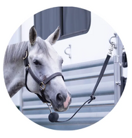 Dura-Tech® Quietguard Adjustable Nylon Trailer Tie