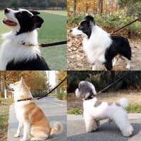 6Ft Leather Dog Leash and Collar Set for Dog