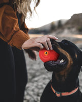 Giggle Ball for Dogs