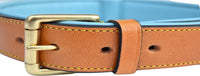 Padded Leather Dog Collars
