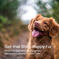 Dog Grooming Brush for Shedding - 2 in 1 Deshedding Tool