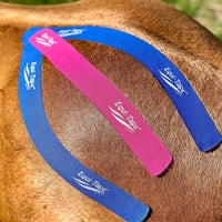 Equi-Taping® Kit