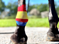 Equi-Taping® Kit
