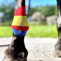 Equi-Taping® Kit