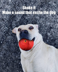 Giggle Ball for Dogs