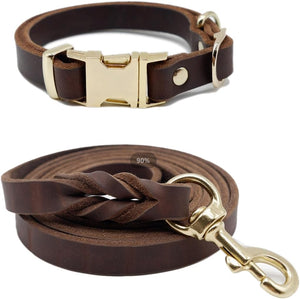 6Ft Leather Dog Leash and Collar Set for Dog