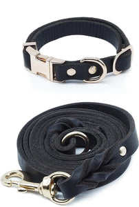 6Ft Leather Dog Leash and Collar Set for Dog