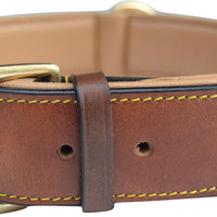 Padded Leather Dog Collars