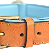 Padded Leather Dog Collars