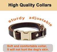 6Ft Leather Dog Leash and Collar Set for Dog

